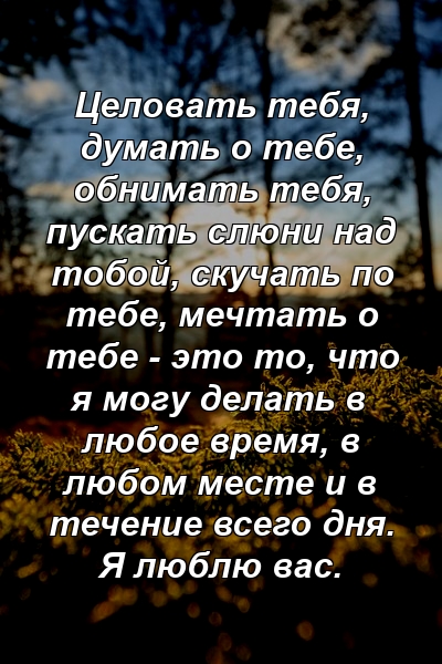 Целовать тебя, думать о тебе, обнимать тебя, пускать слюни над тобой, скучать по тебе, мечтать о тебе - это то, что я могу делать в любое время, в любом месте и в течение всего дня. Я люблю вас.