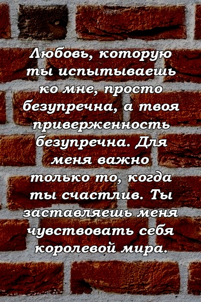 Любовь, которую ты испытываешь ко мне, просто безупречна, а твоя приверженность безупречна. Для меня важно только то, когда ты счастлив. Ты заставляешь меня чувствовать себя королевой мира.