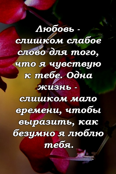 Любовь - слишком слабое слово для того, что я чувствую к тебе. Одна жизнь - слишком мало времени, чтобы выразить, как безумно я люблю тебя.