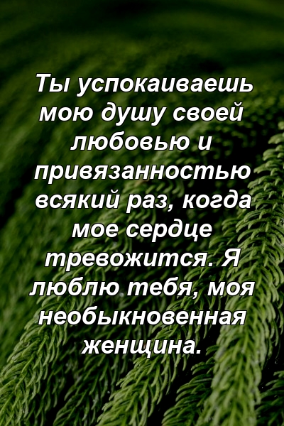 Ты успокаиваешь мою душу своей любовью и привязанностью всякий раз, когда мое сердце тревожится. Я люблю тебя, моя необыкновенная женщина.