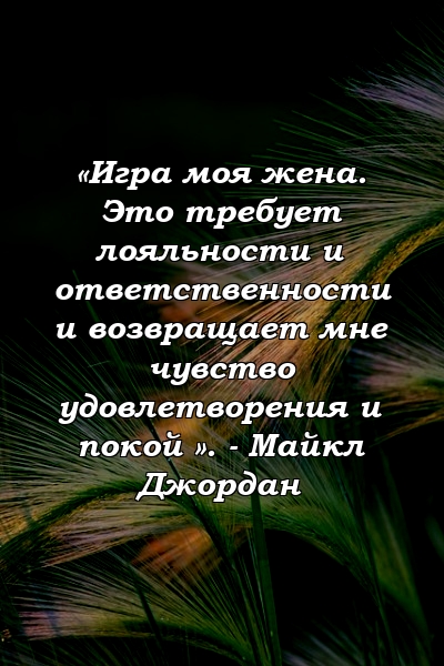 «Игра моя жена. Это требует лояльности и ответственности и возвращает мне чувство удовлетворения и покой ». - Майкл Джордан