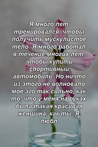 Я много лет тренировался, чтобы получить мускулистое тело. Я много работал в течение многих лет, чтобы купить спортивный автомобиль. Но ничто из этого не волновало мое эго так сильно, как то, что у меня на руках была такая красивая женщина, как ты. Я любл