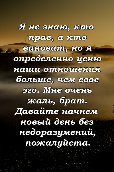 Я не знаю, кто прав, а кто виноват, но я определенно ценю наши отношения больше, чем свое эго. Мне очень жаль, брат. Давайте начнем новый день без недоразумений, пожалуйста.