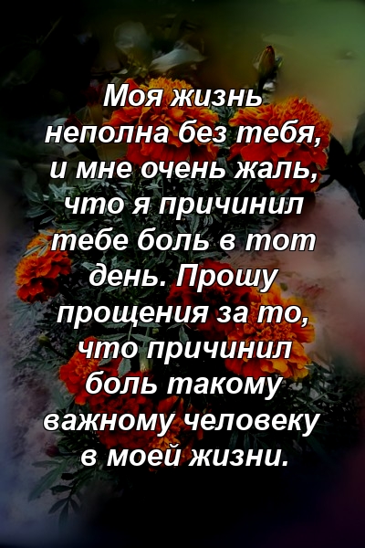 Моя жизнь неполна без тебя, и мне очень жаль, что я причинил тебе боль в тот день. Прошу прощения за то, что причинил боль такому важному человеку в моей жизни.