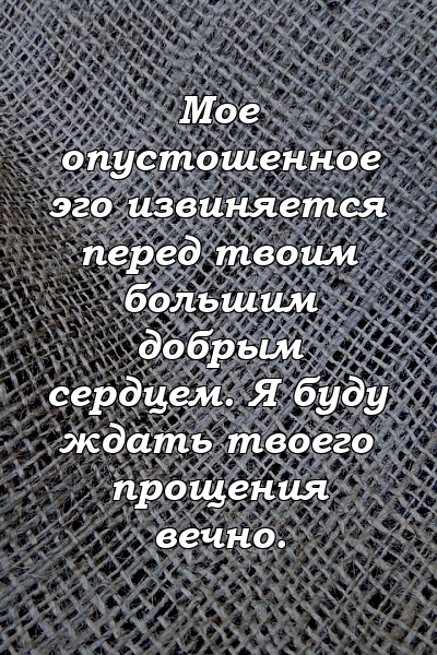 Мое опустошенное эго извиняется перед твоим большим добрым сердцем. Я буду ждать твоего прощения вечно.