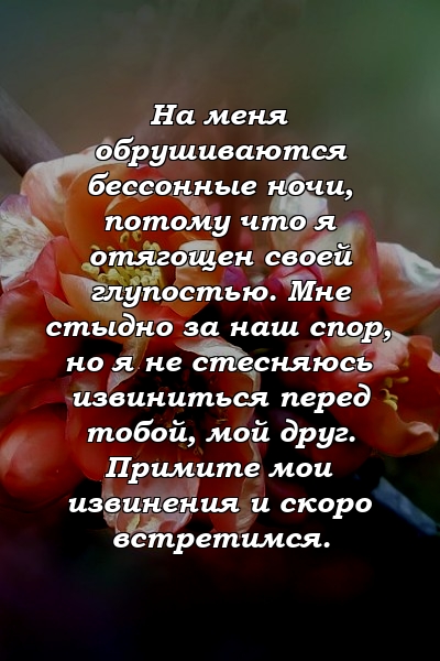 На меня обрушиваются бессонные ночи, потому что я отягощен своей глупостью. Мне стыдно за наш спор, но я не стесняюсь извиниться перед тобой, мой друг. Примите мои извинения и скоро встретимся.