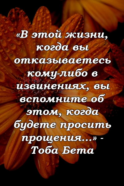 «В этой жизни, когда вы отказываетесь кому-либо в извинениях, вы вспомните об этом, когда будете просить прощения…» - Тоба Бета