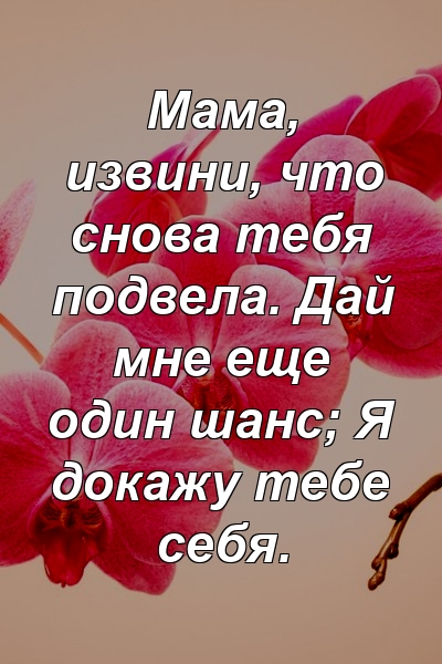 Мама, извини, что снова тебя подвела. Дай мне еще один шанс; Я докажу тебе себя.