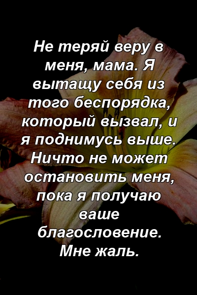 Не теряй веру в меня, мама. Я вытащу себя из того беспорядка, который вызвал, и я поднимусь выше. Ничто не может остановить меня, пока я получаю ваше благословение. Мне жаль.