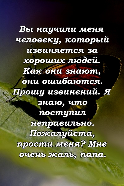 Вы научили меня человеку, который извиняется за хороших людей. Как они знают, они ошибаются. Прошу извинений. Я знаю, что поступил неправильно. Пожалуйста, прости меня? Мне очень жаль, папа.