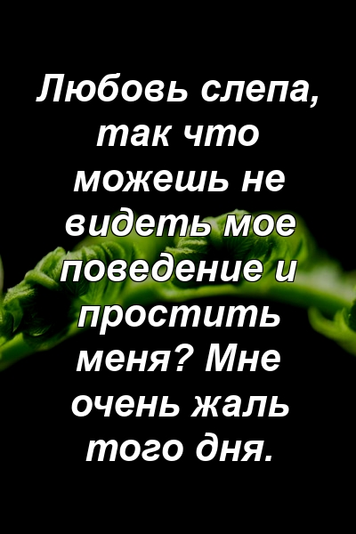 Любовь слепа, так что можешь не видеть мое поведение и простить меня? Мне очень жаль того дня.