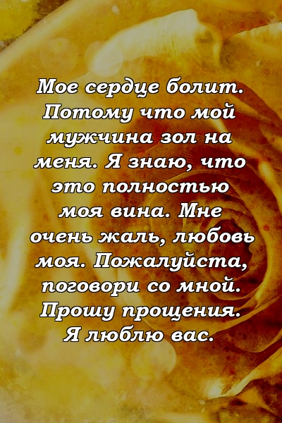 Мое сердце болит. Потому что мой мужчина зол на меня. Я знаю, что это полностью моя вина. Мне очень жаль, любовь моя. Пожалуйста, поговори со мной. Прошу прощения. Я люблю вас.