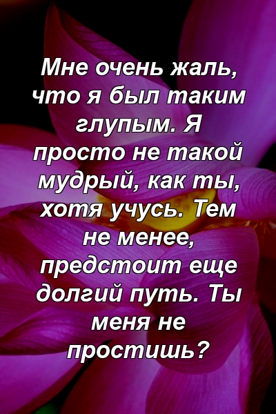 Мне очень жаль, что я был таким глупым. Я просто не такой мудрый, как ты, хотя учусь. Тем не менее, предстоит еще долгий путь. Ты меня не простишь?