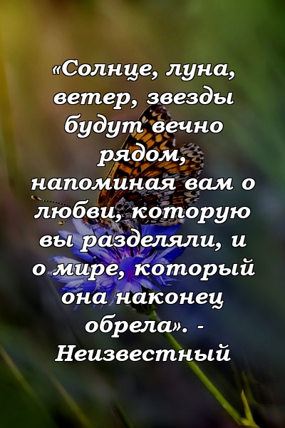 «Солнце, луна, ветер, звезды будут вечно рядом, напоминая вам о любви, которую вы разделяли, и о мире, который она наконец обрела». - Неизвестный