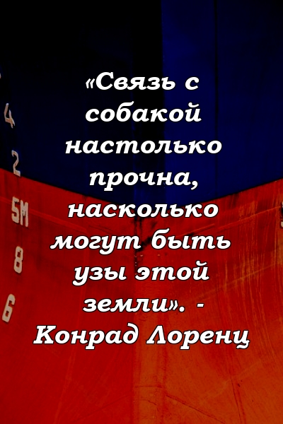 «Связь с собакой настолько прочна, насколько могут быть узы этой земли». - Конрад Лоренц