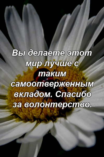 Вы делаете этот мир лучше с таким самоотверженным вкладом. Спасибо за волонтерство.