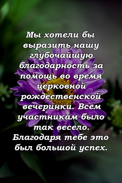 Мы хотели бы выразить нашу глубочайшую благодарность за помощь во время церковной рождественской вечеринки. Всем участникам было так весело. Благодаря тебе это был большой успех.