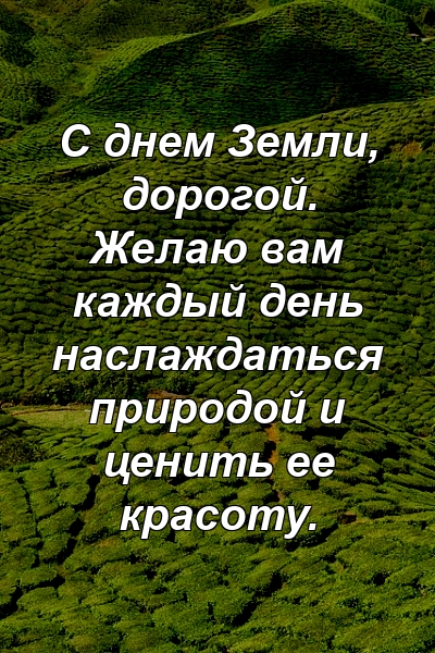 Каждый день наслаждаюсь рисунком окон погружаюсь