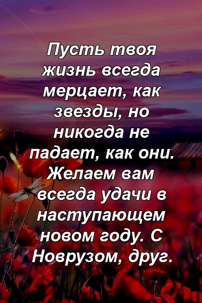 Пусть твоя жизнь всегда мерцает, как звезды, но никогда не падает, как они. Желаем вам всегда удачи в наступающем новом году. С Новрузом, друг.