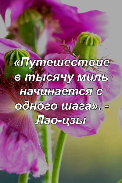 «Путешествие в тысячу миль начинается с одного шага». - Лао-цзы