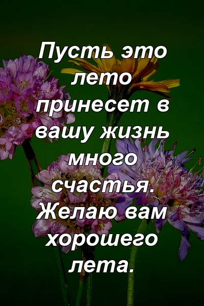 Пусть это лето принесет в вашу жизнь много счастья. Желаю вам хорошего лета.