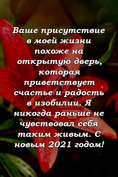 Ваше присутствие в моей жизни похоже на открытую дверь, которая приветствует счастье и радость в изобилии. Я никогда раньше не чувствовал себя таким живым. С новым 2021 годом!