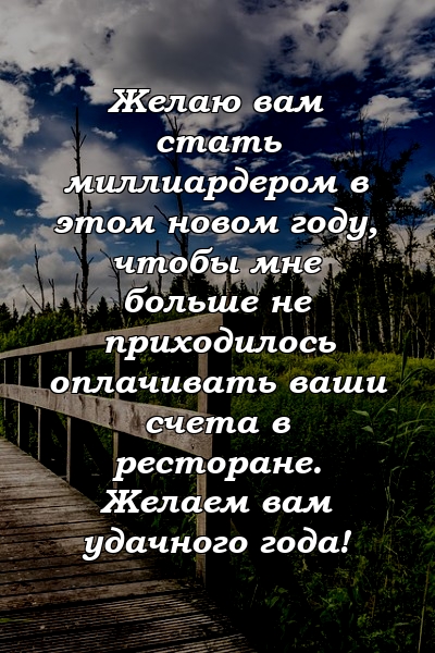 Желаю вам стать миллиардером в этом новом году, чтобы мне больше не приходилось оплачивать ваши счета в ресторане. Желаем вам удачного года!