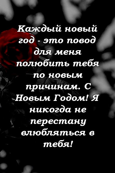 Каждый новый год - это повод для меня полюбить тебя по новым причинам. С Новым Годом! Я никогда не перестану влюбляться в тебя!