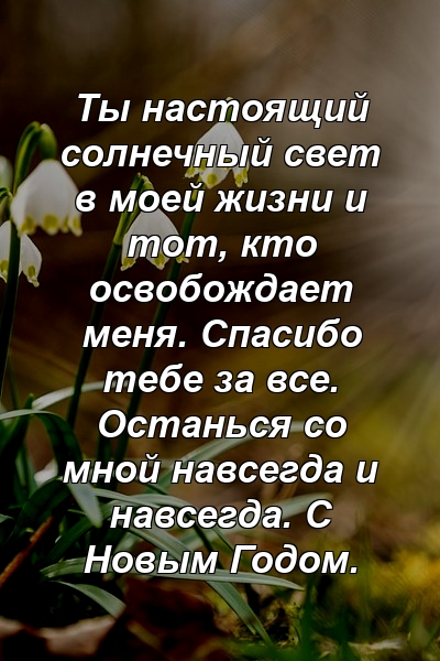 Ты настоящий солнечный свет в моей жизни и тот, кто освобождает меня. Спасибо тебе за все. Останься со мной навсегда и навсегда. С Новым Годом.