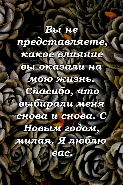 Вы не представляете, какое влияние вы оказали на мою жизнь. Спасибо, что выбирали меня снова и снова. С Новым годом, милая. Я люблю вас.