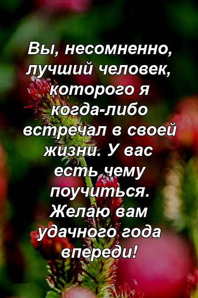 Вы, несомненно, лучший человек, которого я когда-либо встречал в своей жизни. У вас есть чему поучиться. Желаю вам удачного года впереди!