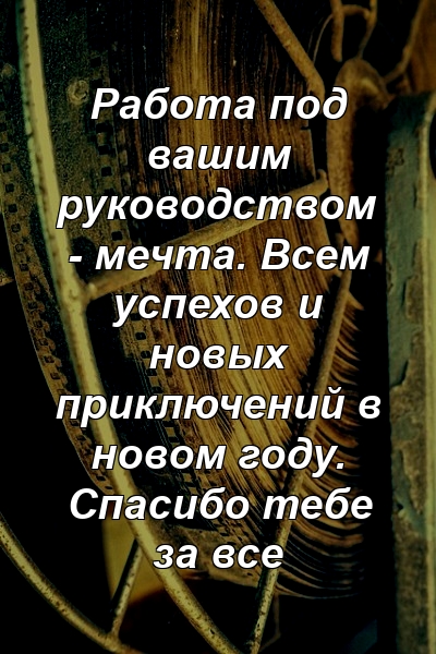 Работа под вашим руководством - мечта. Всем успехов и новых приключений в новом году. Спасибо тебе за все