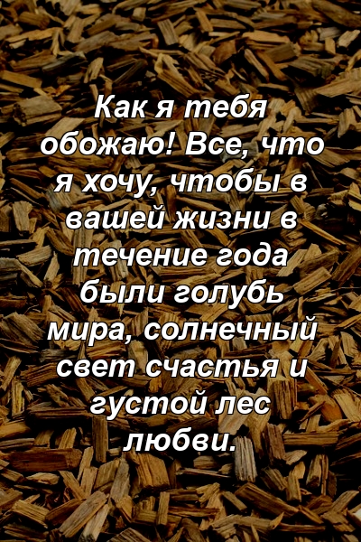 Как я тебя обожаю! Все, что я хочу, чтобы в вашей жизни в течение года были голубь мира, солнечный свет счастья и густой лес любви.