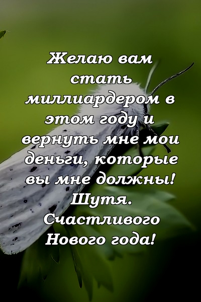 Желаю вам стать миллиардером в этом году и вернуть мне мои деньги, которые вы мне должны! Шутя. Счастливого Нового года!