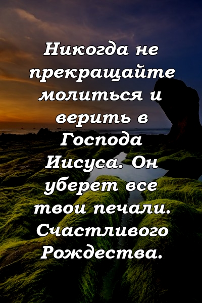 Никогда не прекращайте молиться и верить в Господа Иисуса. Он уберет все твои печали. Счастливого Рождества.