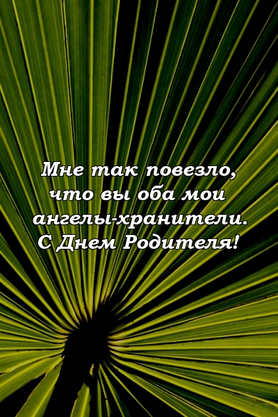 Мне так повезло, что вы оба мои ангелы-хранители. С Днем Родителя!