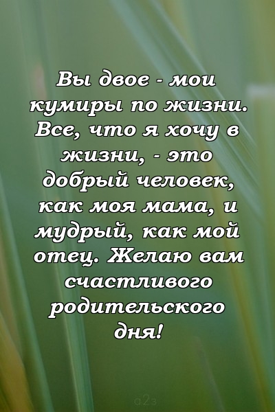 Вы двое - мои кумиры по жизни. Все, что я хочу в жизни, - это добрый человек, как моя мама, и мудрый, как мой отец. Желаю вам счастливого родительского дня!