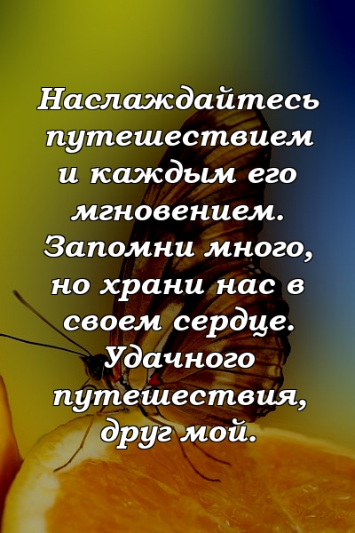 Наслаждайтесь путешествием и каждым его мгновением. Запомни много, но храни нас в своем сердце. Удачного путешествия, друг мой.