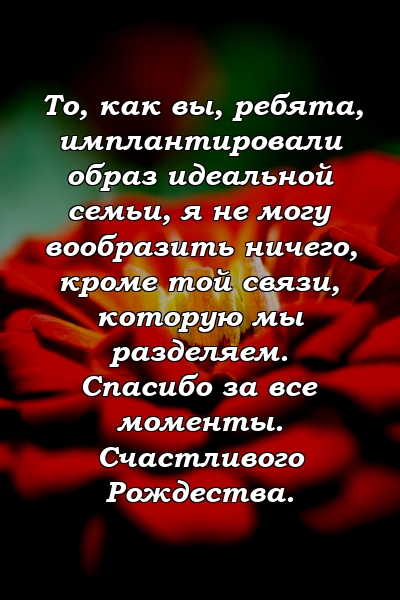 То, как вы, ребята, имплантировали образ идеальной семьи, я не могу вообразить ничего, кроме той связи, которую мы разделяем. Спасибо за все моменты. Счастливого Рождества.