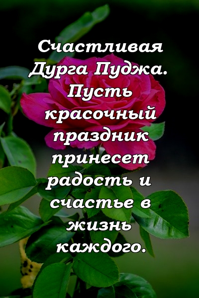 Счастливая Дурга Пуджа. Пусть красочный праздник принесет радость и счастье в жизнь каждого.