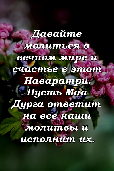 Давайте молиться о вечном мире и счастье в этот Наваратри. Пусть Маа Дурга ответит на все наши молитвы и исполнит их.