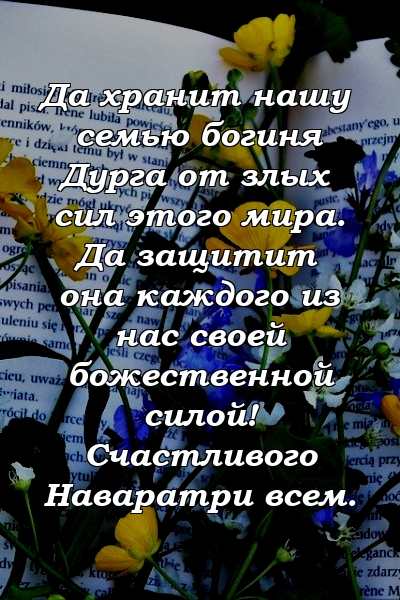 Да хранит нашу семью богиня Дурга от злых сил этого мира. Да защитит она каждого из нас своей божественной силой! Счастливого Наваратри всем.