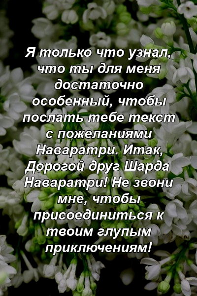 Я только что узнал, что ты для меня достаточно особенный, чтобы послать тебе текст с пожеланиями Наваратри. Итак, Дорогой друг Шарда Наваратри! Не звони мне, чтобы присоединиться к твоим глупым приключениям!