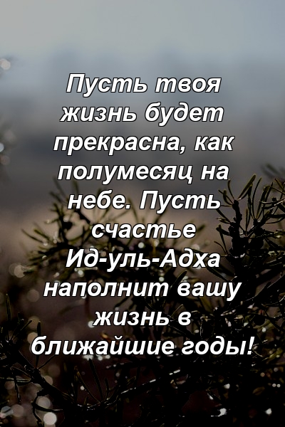 Пусть твоя жизнь будет прекрасна, как полумесяц на небе. Пусть счастье Ид-уль-Адха наполнит вашу жизнь в ближайшие годы!