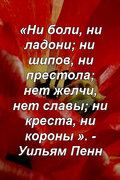 «Ни боли, ни ладони; ни шипов, ни престола; нет желчи, нет славы; ни креста, ни короны ». - Уильям Пенн