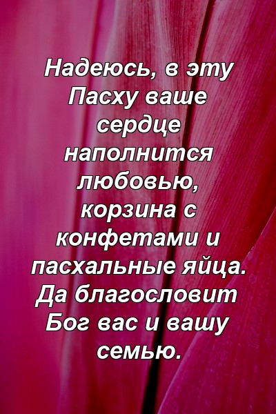 Надеюсь, в эту Пасху ваше сердце наполнится любовью, корзина с конфетами и пасхальные яйца. Да благословит Бог вас и вашу семью.