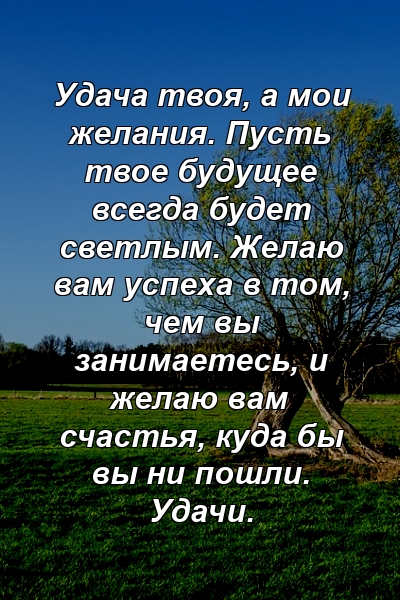 Удача твоя, а мои желания. Пусть твое будущее всегда будет светлым. Желаю вам успеха в том, чем вы занимаетесь, и желаю вам счастья, куда бы вы ни пошли. Удачи.