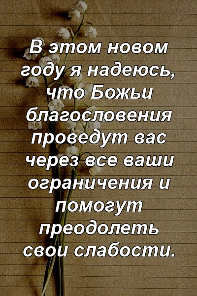 В этом новом году я надеюсь, что Божьи благословения проведут вас через все ваши ограничения и помогут преодолеть свои слабости.