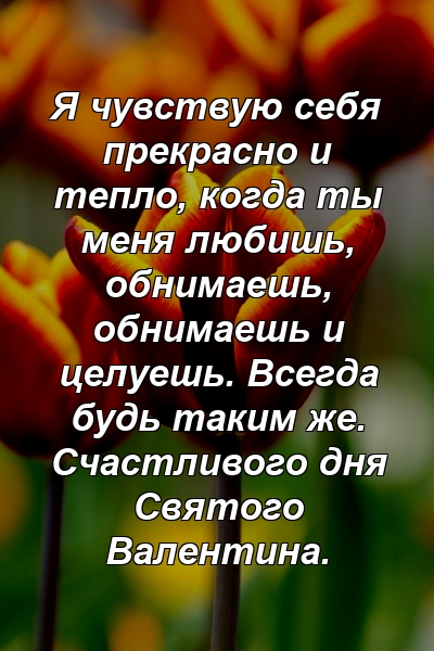 Я чувствую себя прекрасно и тепло, когда ты меня любишь, обнимаешь, обнимаешь и целуешь. Всегда будь таким же. Счастливого дня Святого Валентина.