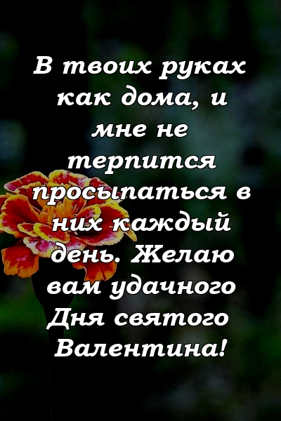 В твоих руках как дома, и мне не терпится просыпаться в них каждый день. Желаю вам удачного Дня святого Валентина!